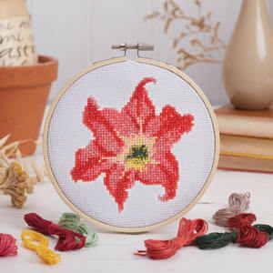 RHS Cross Stitch Kit Amarylis